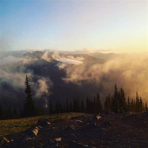 washington state reddit.